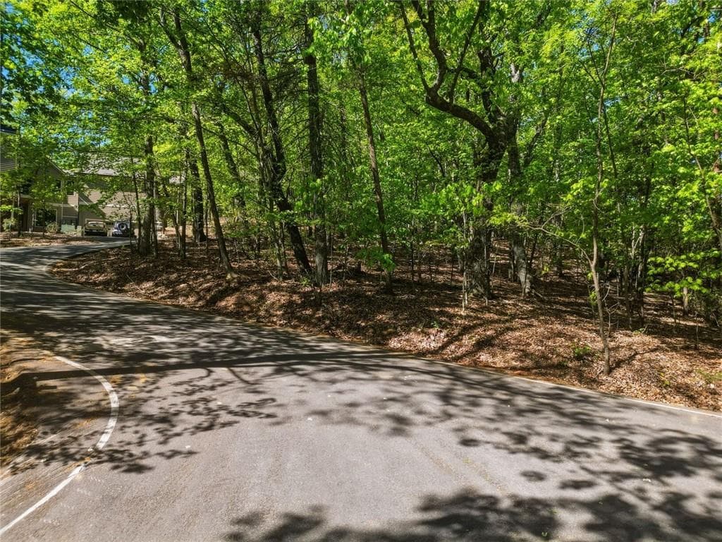 unimproved land for sale at 1095 McElroy Mountain Drive, Big Canoe, GA 30143 — photo 9