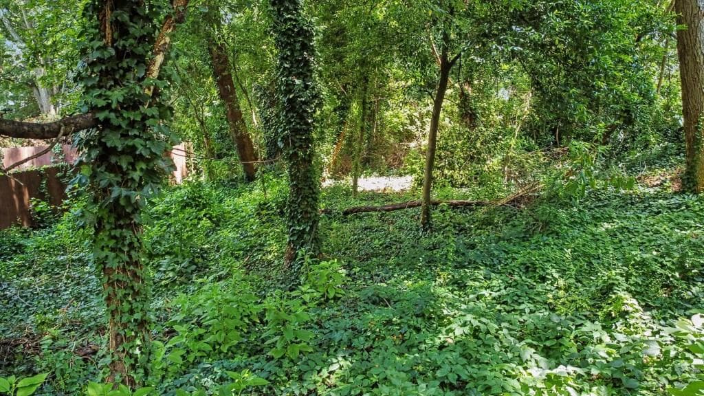 other for sale at 2242 Ridgedale Road, Atlanta, GA 30317 — photo 3