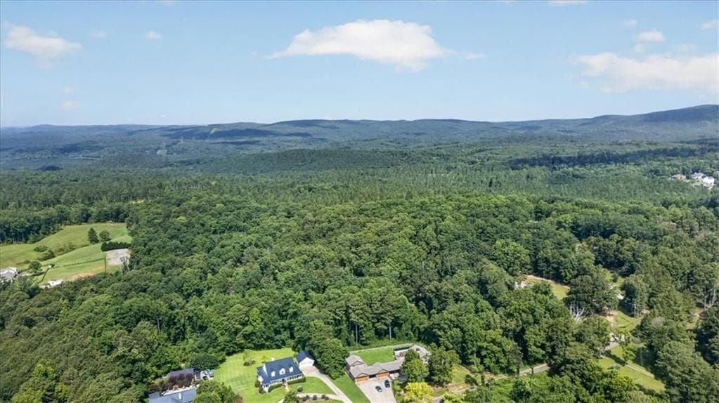 unimproved land for sale at 0 Dry Pond Lane, Canton, GA 30114 — photo 6