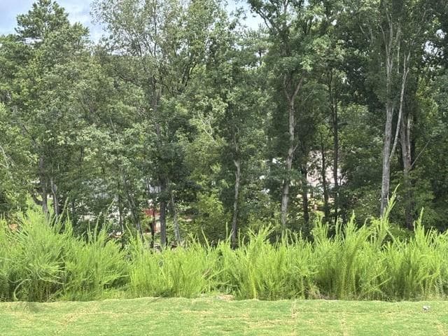 3 bedroom, 3 bathroom, 1,814 sq ft townhouse under contract at 2781 Apperson Way Trail, Suwanee, GA 30024 — photo 9