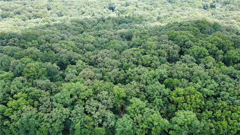 unimproved land for sale at 768 Knox Bridge Highway, White, GA 30184 — photo 3