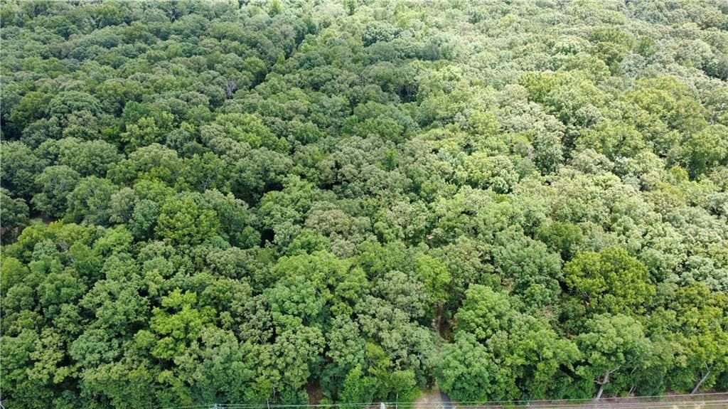 unimproved land for sale at 768 Knox Bridge Highway, White, GA 30184 — photo 4