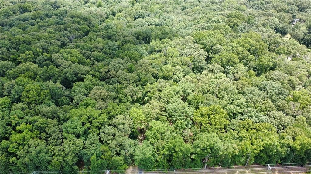 unimproved land for sale at 768 Knox Bridge Highway, White, GA 30184 — photo 5