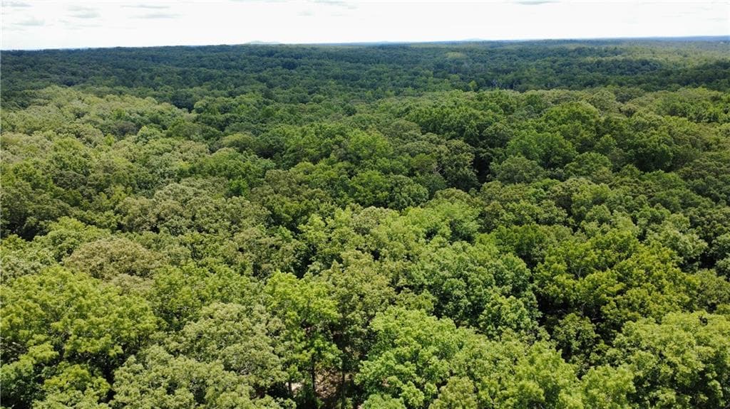 unimproved land for sale at 768 Knox Bridge Highway, White, GA 30184 — photo 6