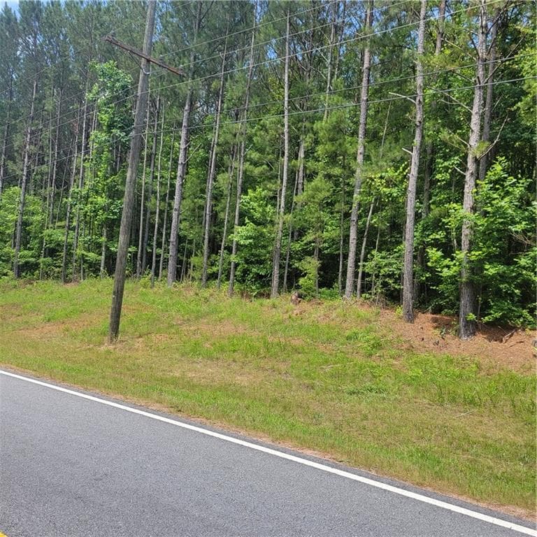 unimproved land for sale at 00 Bohannon Road, Grantville, GA 30220 — photo 2