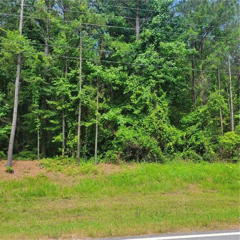 unimproved land for sale at 00 Bohannon Road, Grantville, GA 30220 — photo 3