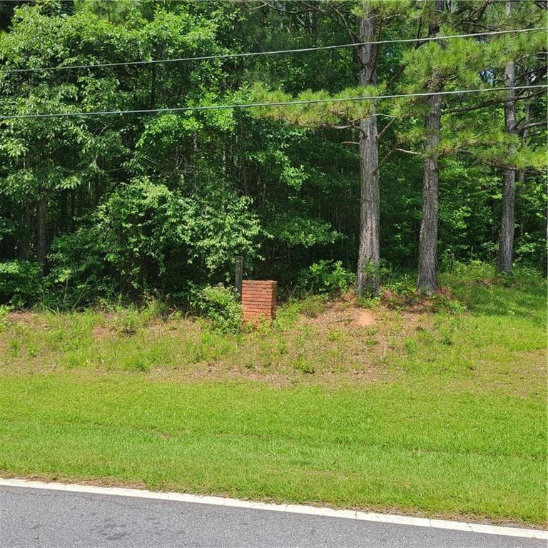 unimproved land for sale at 00 Bohannon Road, Grantville, GA 30220 — photo 4