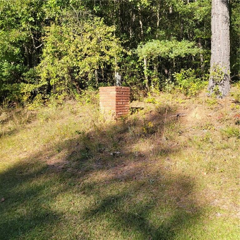 unimproved land for sale at 00 Bohannon Road, Grantville, GA 30220 — photo 5