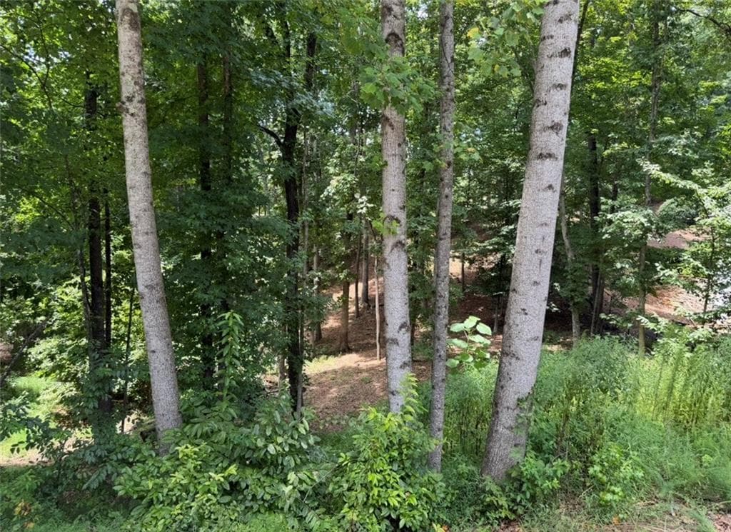 single family residence for sale at 3043 Chattahoochee Trace, Gainesville, GA 30506 — photo 3
