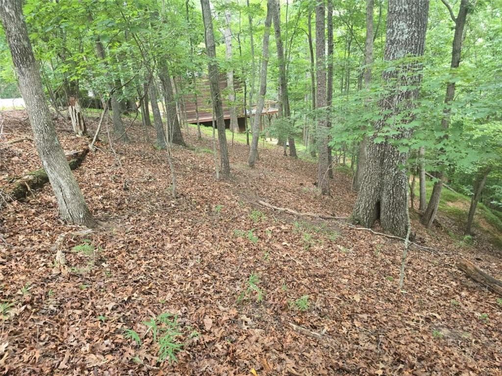 single family residence for sale at Lot476 Riverview Drive, Ellijay, GA 30540 — photo 2