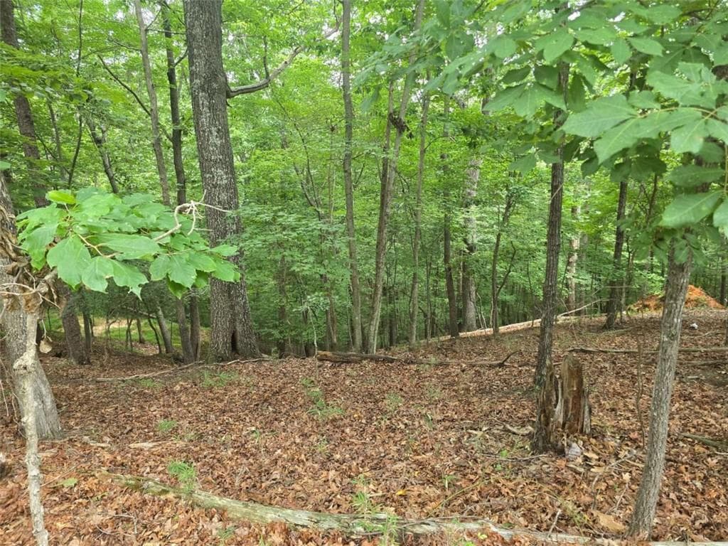 single family residence for sale at Lot476 Riverview Drive, Ellijay, GA 30540 — photo 3