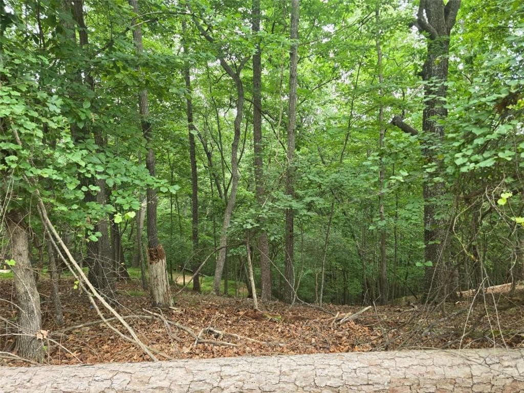 single family residence for sale at Lot476 Riverview Drive, Ellijay, GA 30540 — photo 4