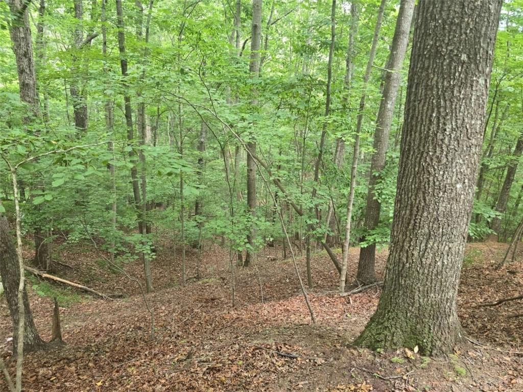 single family residence for sale at Lot476 Riverview Drive, Ellijay, GA 30540 — photo 5