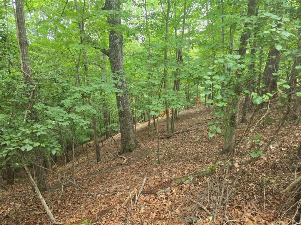single family residence for sale at Lot476 Riverview Drive, Ellijay, GA 30540 — photo 6