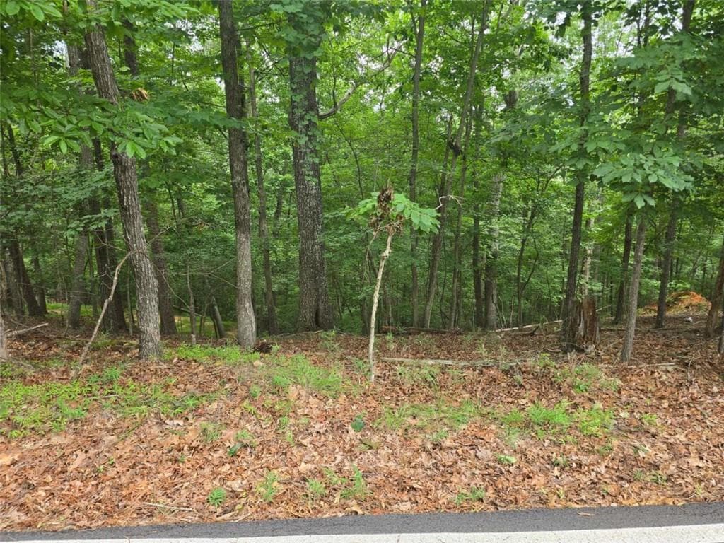 single family residence for sale at Lot476 Riverview Drive, Ellijay, GA 30540 — photo 7