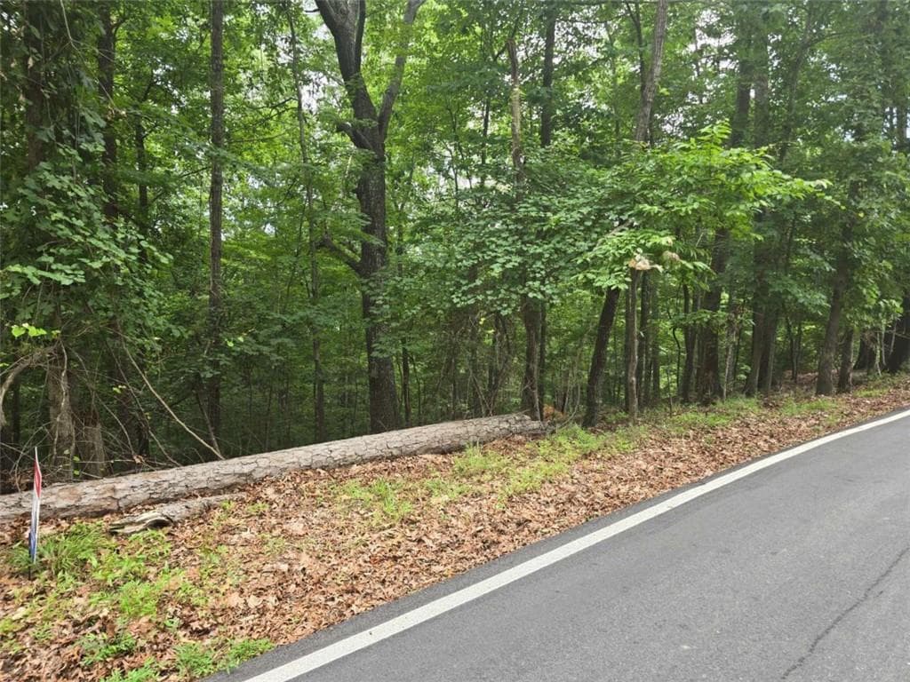 single family residence for sale at Lot476 Riverview Drive, Ellijay, GA 30540 — photo 8