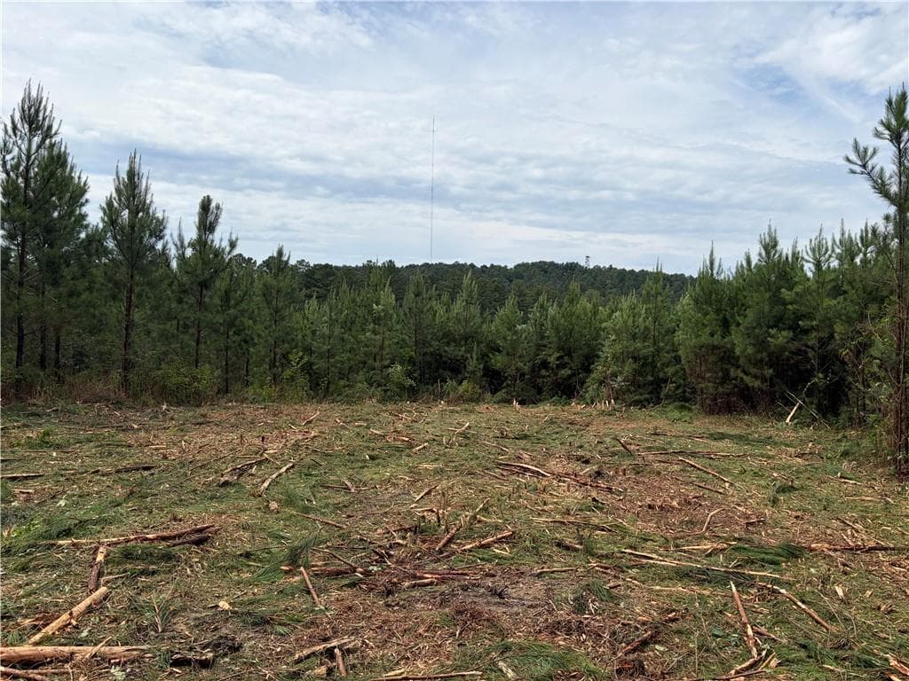 other for sale at 000 John Kay Road, Taylorsville, GA 30178 — photo 2