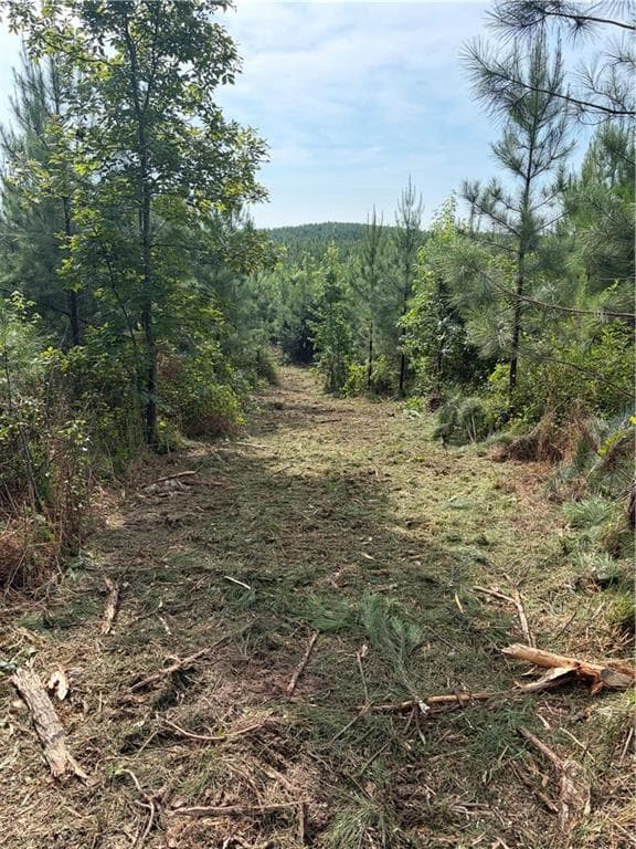 other for sale at 000 John Kay Road, Taylorsville, GA 30178 — photo 3