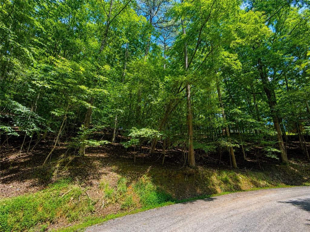 unimproved land for sale at LOT730 Dawn Lane, Ellijay, GA 30540 — photo 8