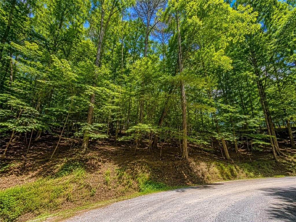 unimproved land for sale at LOT730 Dawn Lane, Ellijay, GA 30540 — photo 9