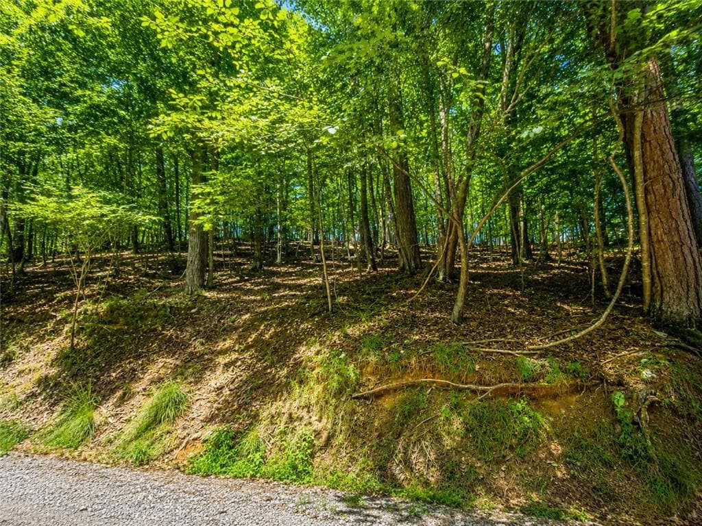 unimproved land for sale at LOT730 Dawn Lane, Ellijay, GA 30540 — photo 10