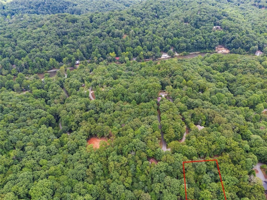 unimproved land for sale at LOT674 Riverview Drive, Ellijay, GA 30540 — photo 5