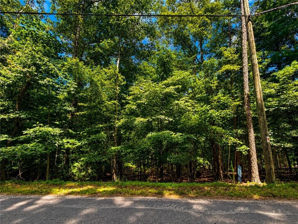 unimproved land for sale at LOT674 Riverview Drive, Ellijay, GA 30540 — photo 8