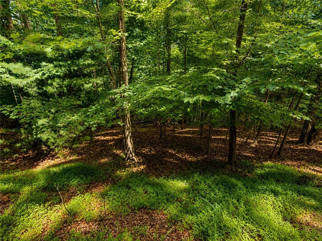 unimproved land for sale at LOT674 Riverview Drive, Ellijay, GA 30540 — photo 9