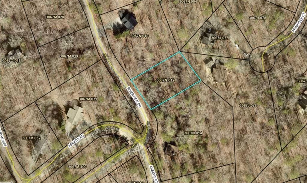 unimproved land for sale at LOT674 Riverview Drive, Ellijay, GA 30540 — photo 10