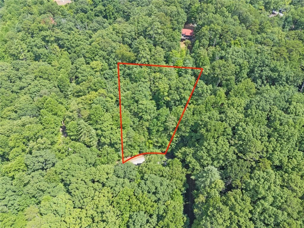 unimproved land for sale at LT1249 Fugue Drive, Ellijay, GA 30540 — photo 2