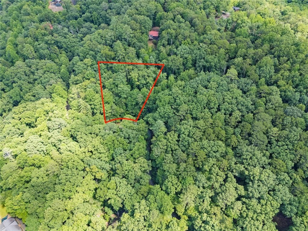 unimproved land for sale at LT1249 Fugue Drive, Ellijay, GA 30540 — photo 5