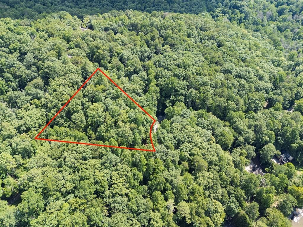 unimproved land for sale at LT1249 Fugue Drive, Ellijay, GA 30540 — photo 6