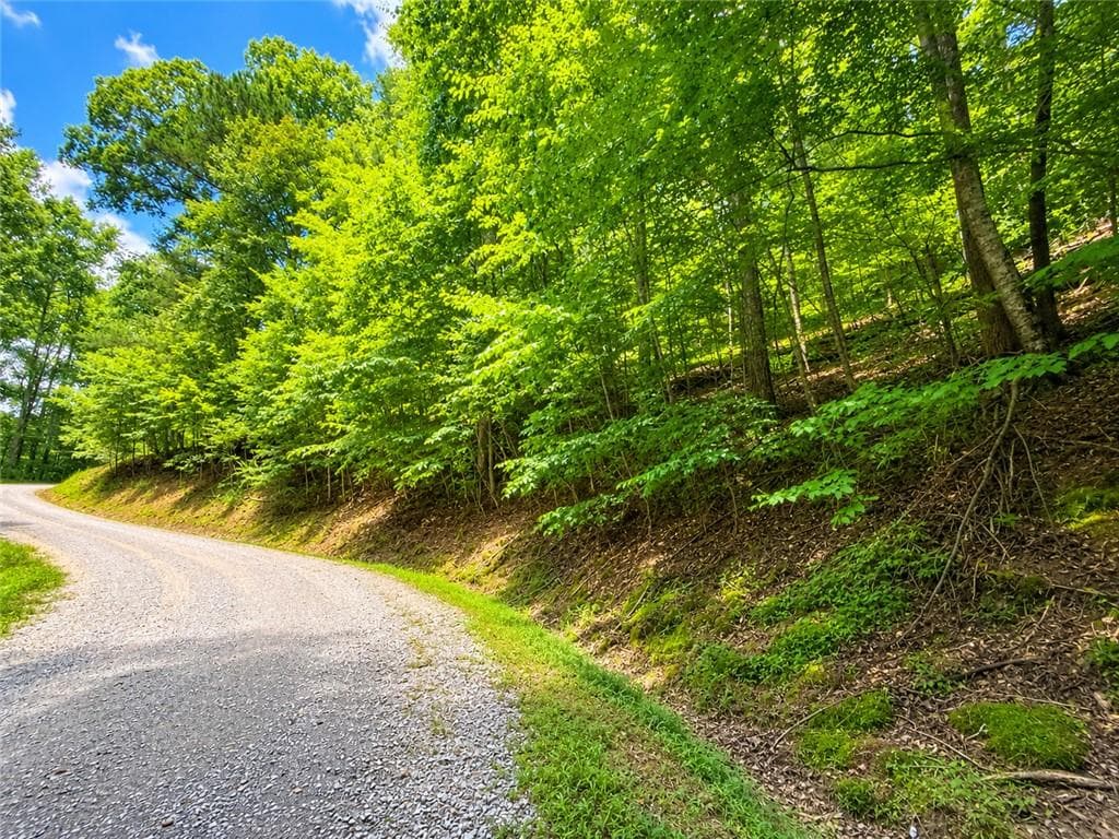 unimproved land for sale at LT1249 Fugue Drive, Ellijay, GA 30540 — photo 9