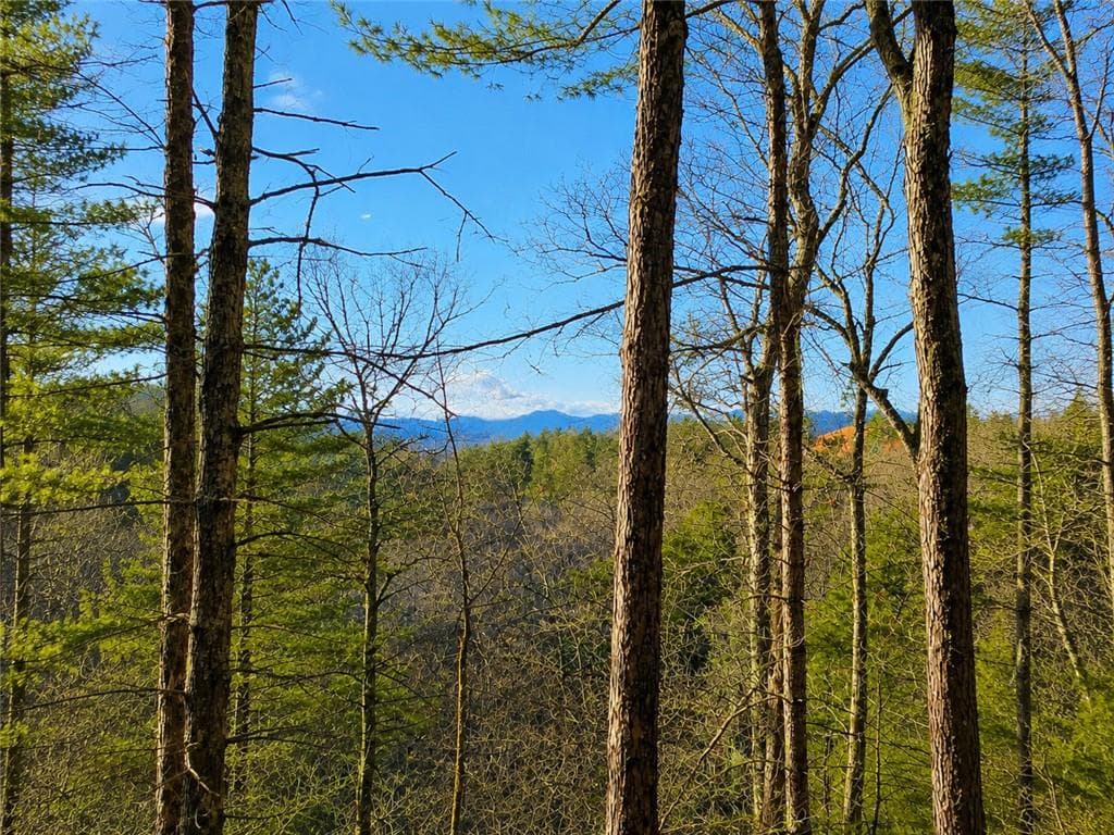 unimproved land for sale at LT1249 Fugue Drive, Ellijay, GA 30540 — photo 10