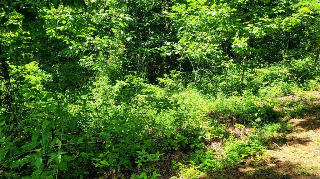 single family residence for sale at 0 High Cliff Road, Jasper, GA 30143 — photo 2