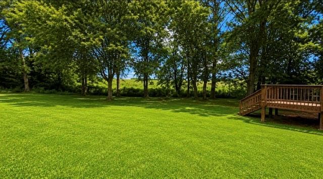 3 bedroom, 2 bathroom, 1,192 sq ft single family residence for sale at 12 Fairfield Court, Cartersville, GA 30120 — photo 9