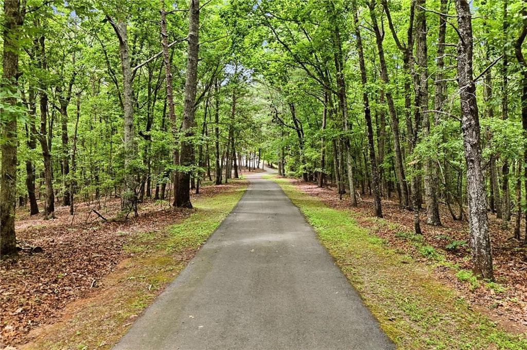 4 bedroom, 3 bathroom, 2,986 sq ft single family residence for sale at 116 Hidden Cove Drive, Ball Ground, GA 30107 — photo 3