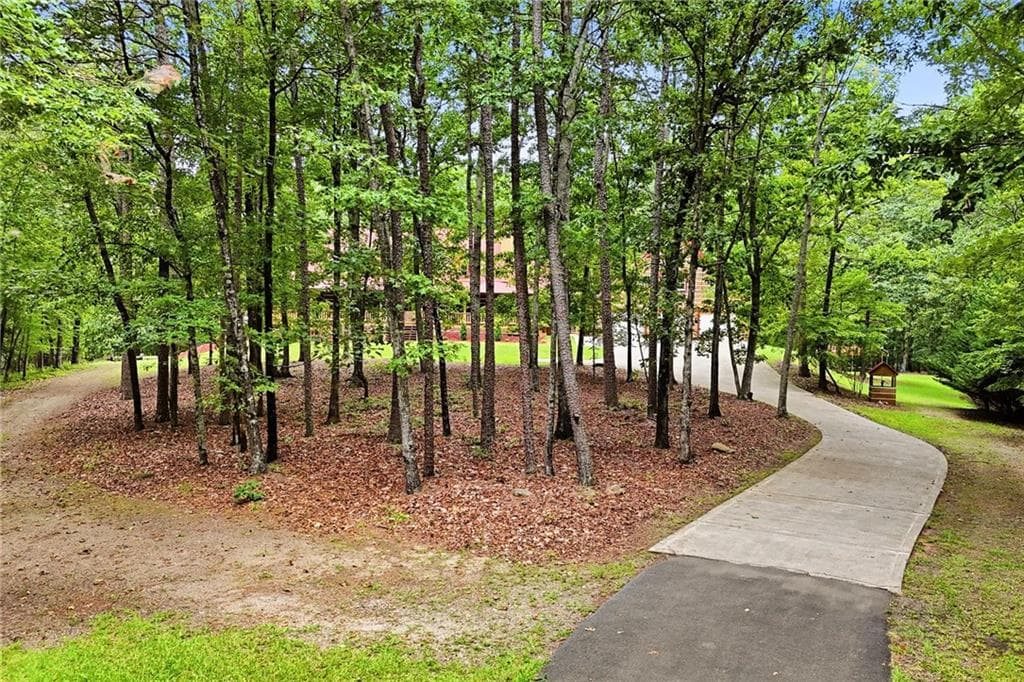4 bedroom, 3 bathroom, 2,986 sq ft single family residence for sale at 116 Hidden Cove Drive, Ball Ground, GA 30107 — photo 4