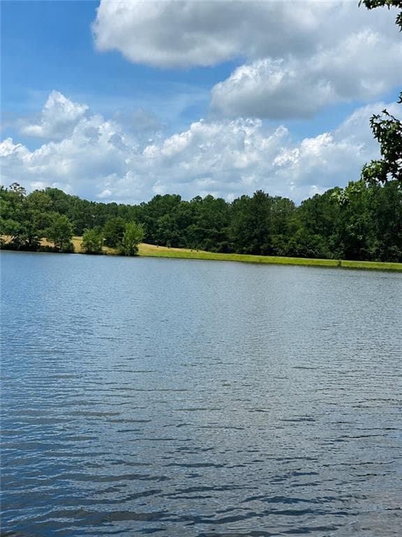 6 bedroom, 5 bathroom, 3,010 sq ft single family residence for sale at 1189 Iris Lake Road, Mcdonough, GA 30252 — photo 4