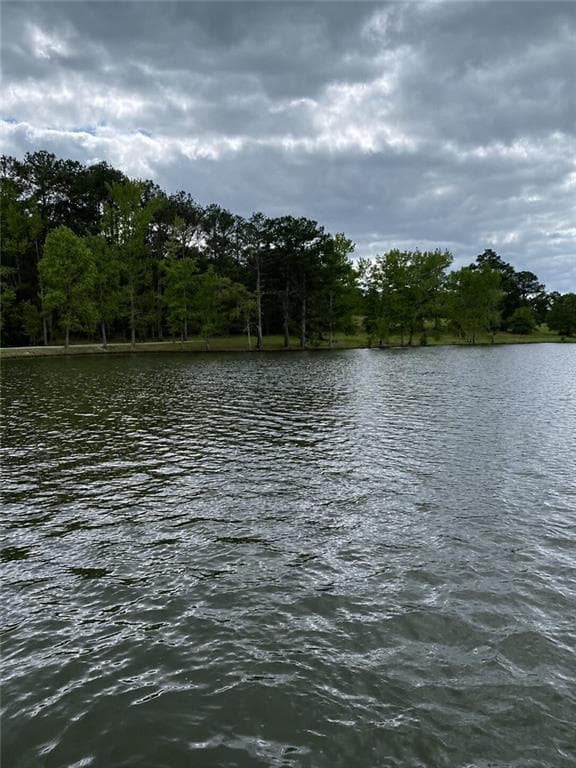 6 bedroom, 5 bathroom, 3,010 sq ft single family residence for sale at 1189 Iris Lake Road, Mcdonough, GA 30252 — photo 5