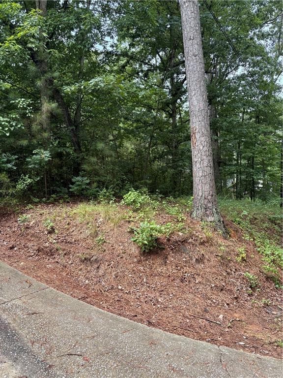 single family residence for sale at 31 Weaver Street, Buchanan, GA 30113 — photo 2