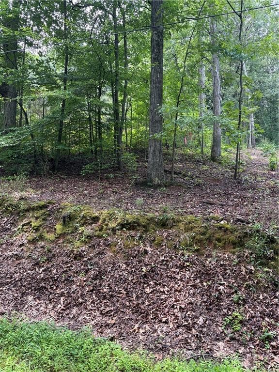 single family residence for sale at 31 Weaver Street, Buchanan, GA 30113 — photo 9