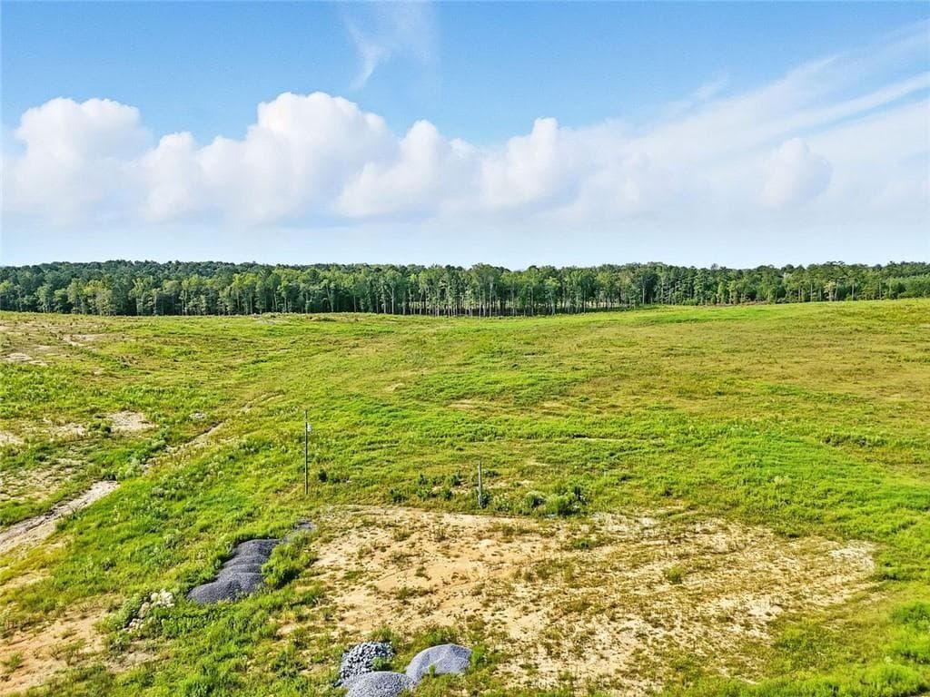 unimproved land for sale at 851 Barnsley Garden Road, Kingston, GA 30145 — photo 2