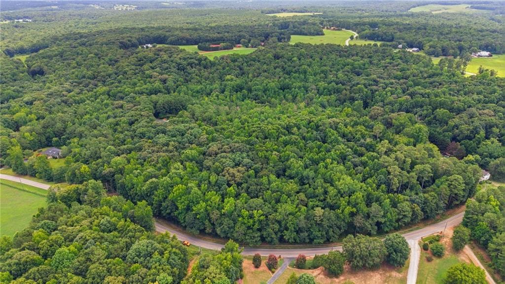 unimproved land for sale at 0 Berea Road, Commerce, GA 30530 — photo 4