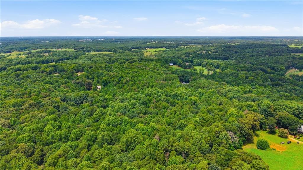 unimproved land for sale at 0 Berea Road, Commerce, GA 30530 — photo 8