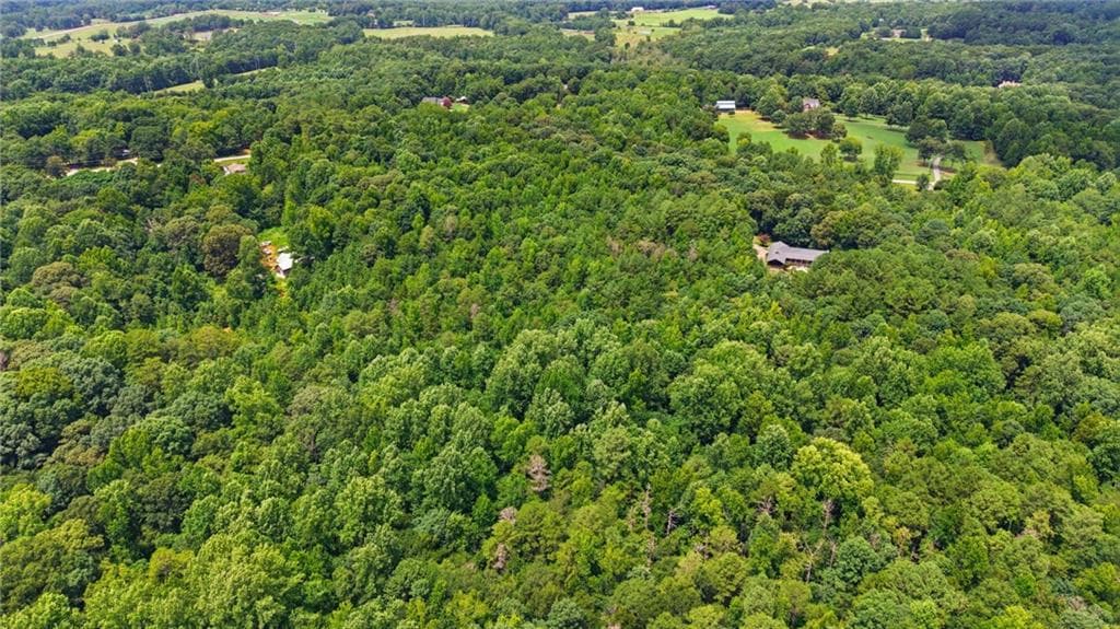 unimproved land for sale at 0 Berea Road, Commerce, GA 30530 — photo 9