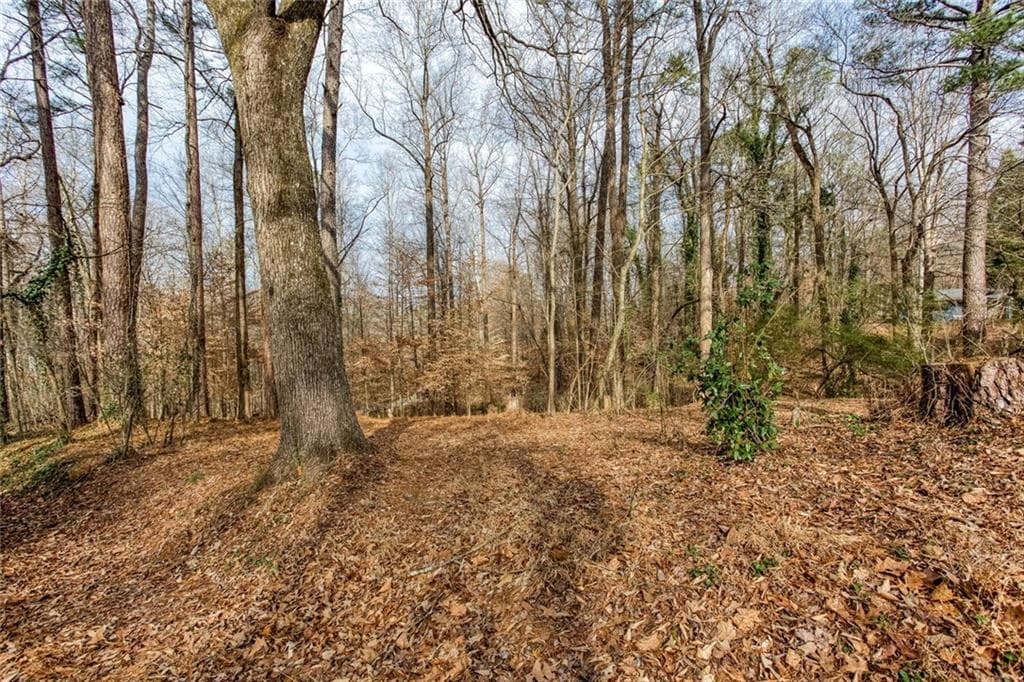 other for sale at 111 Maple Street, Roswell, GA 30075 — photo 9