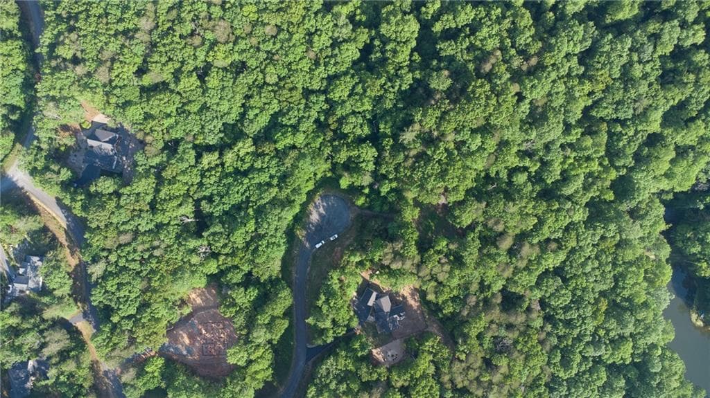 single family residence for sale at Lot 9 Robert Drive, Ellijay, GA 30536 — photo 4