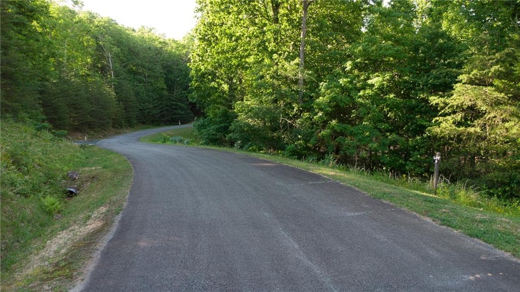 single family residence for sale at Lot 9 Robert Drive, Ellijay, GA 30536 — photo 5