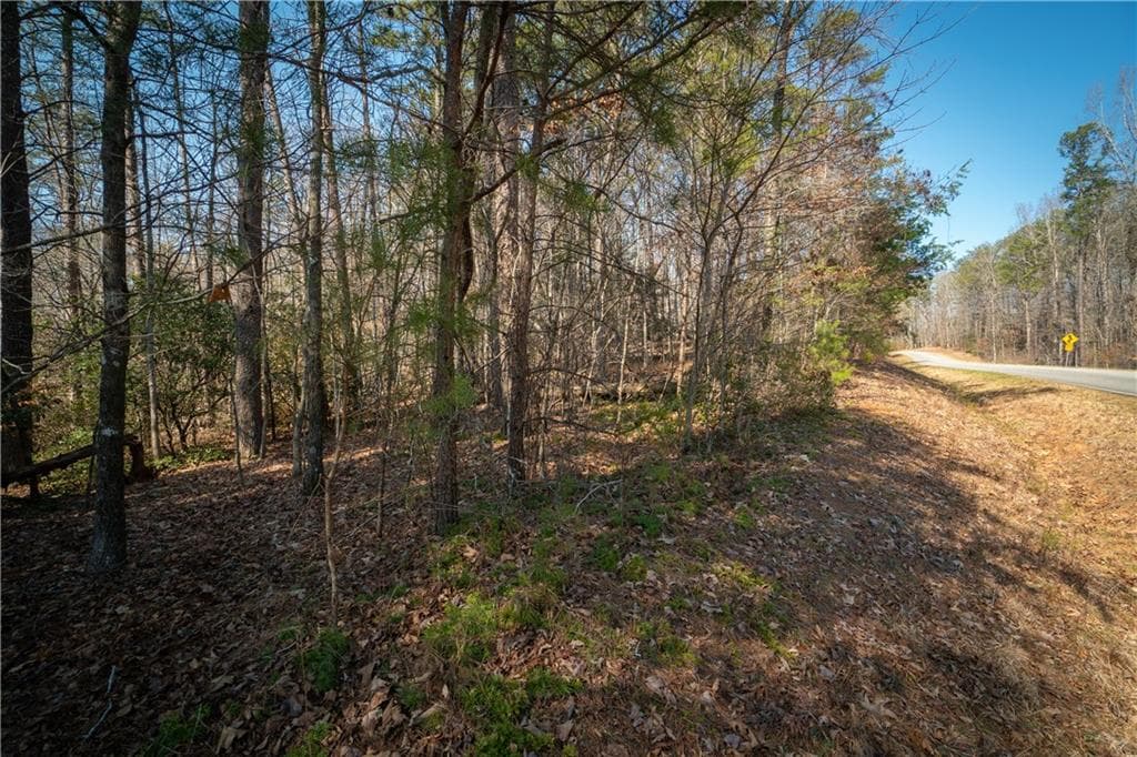 other for sale at 00 Jennys Cove Road, Cleveland, GA 30528 — photo 4